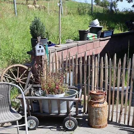 Tiny House Im Sayntal Semesterbostad Niedersayn