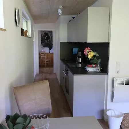 Gaestehaus Im Sayntal-tiny Haus *