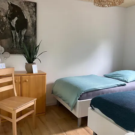 Gaestehaus Im Sayntal-tiny Haus