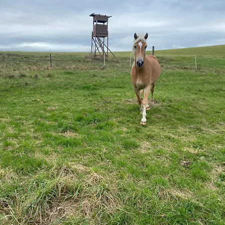 Gaestehaus Im Sayntal-tiny Haus Holiday home