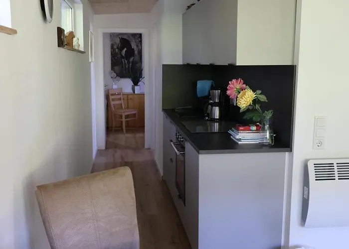 Gaestehaus Im Sayntal-tiny Haus *