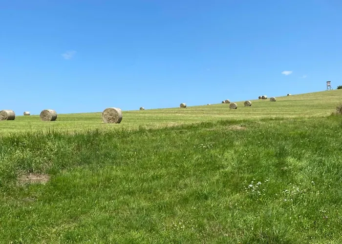 Semesterbostad Gaestehaus Im Sayntal-tiny Haus *